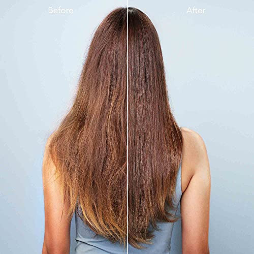 Pureology Color Fanatic Top Coat + Tone Blue High-Gloss Hair Toner | Toning Hair Gloss for Color-Treated Hair | Glaze For Dark Blonde to Brunette Hai