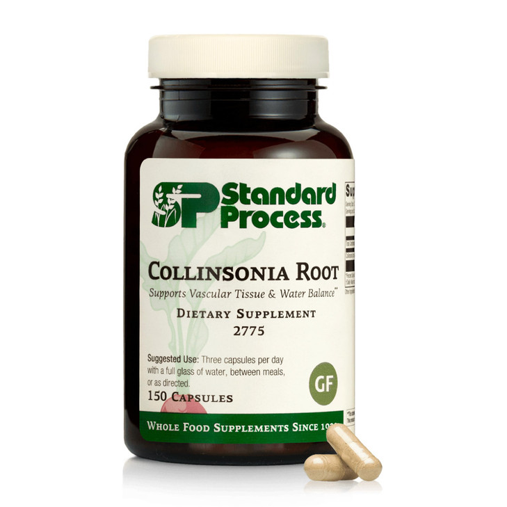 Standard Process Collinsonia Root - Healthy Vascular Tissue Support Supplement - Bladder & Kidney Health Supplement with Collinsonia Root - Supplemen