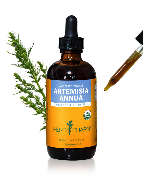 Herb Pharm Certified Organic Artemisia Annua (Sweet Annie) Liquid Extract - 4 Ounce