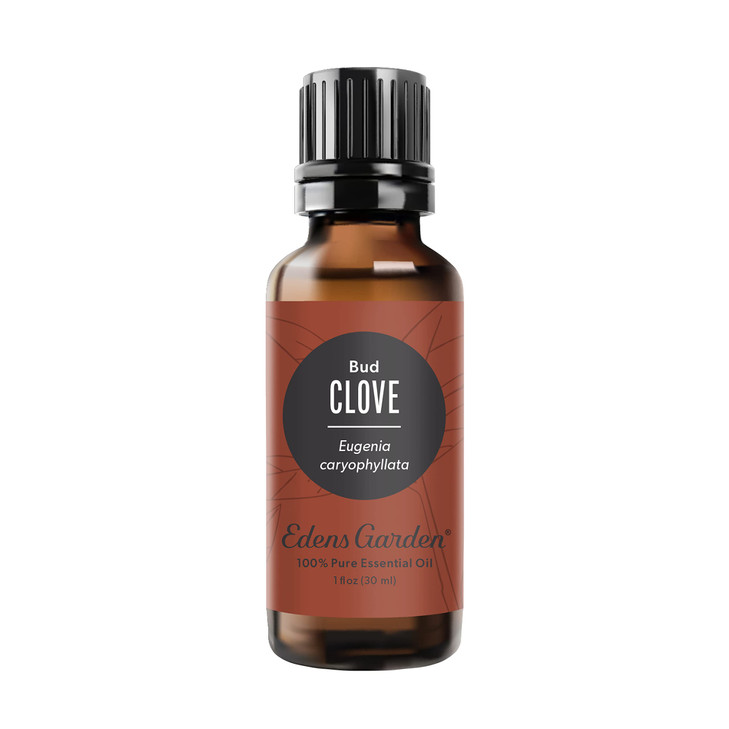 Edens Garden Clove- Bud Essential Oil- 100% Pure Premium Grade, Undiluted, Natural, Therapeutic, Aromatherapy, The Best for Diffuser, Candle, Laundry