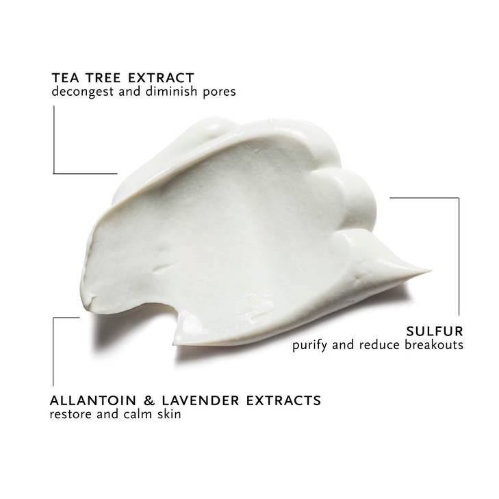 ARCONA Tea Tree Mask - Tea Tree Extract, Grapefruit Extract, Sulphur + Lavender Extract Clears Breakouts + Calms Skin. Made In The USA
