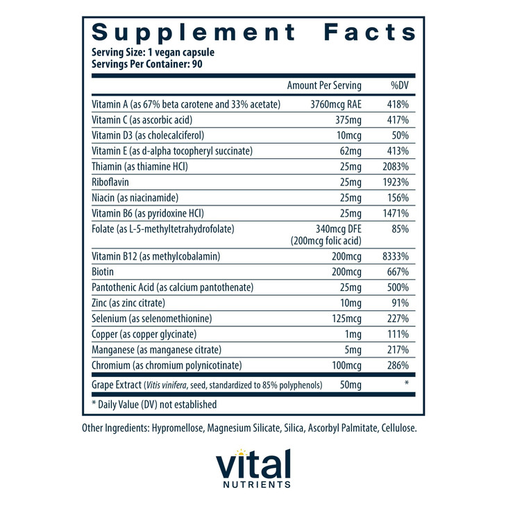 Vital Nutrients Minimal and Essential Multivitamin - Vegetarian One per Day Multi Vitamin, Mineral, & Antioxidant Supplement* - Iron-Free - Gluten, D