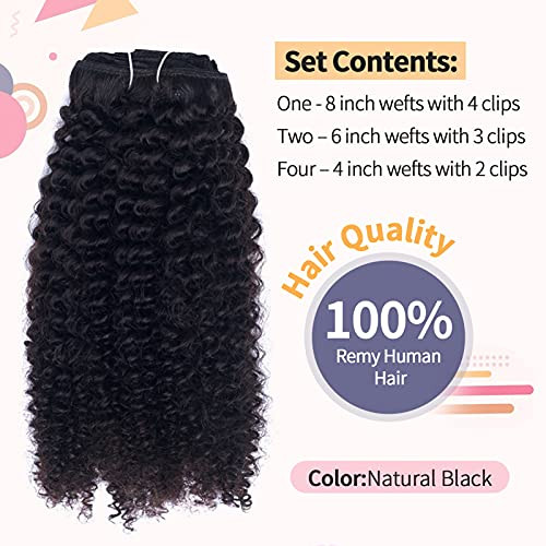 Vanalia Afro Kinky Curly Clip in Hair Extensions, 3C 4A Clip Ins, 100% Remy human Hair Clip Ins for African American Black Women, Thick Soft Natural