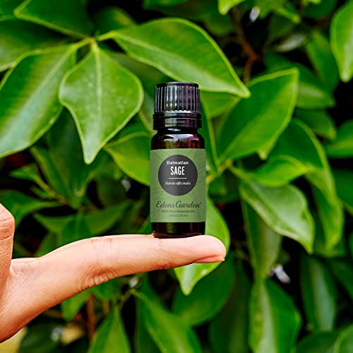 Edens Garden Sage- Dalmation Essential Oil- 100% Pure Premium Grade, Undiluted, Natural, Therapeutic, Aromatherapy, The Best for Diffuser, Candle, La