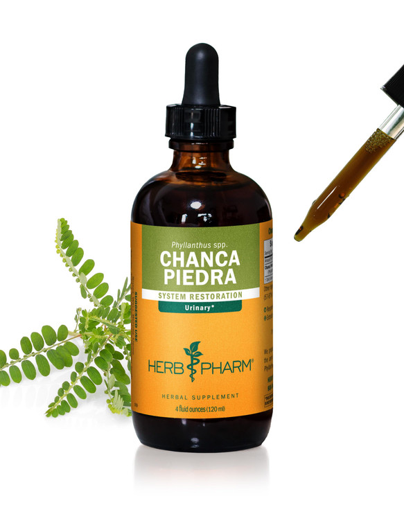 Herb Pharm Chanca Piedra Liquid Extract for Urinary System Support - 4 Ounce