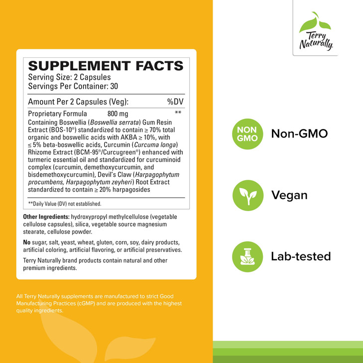 Terry Naturally Arthocin - Boswellia Serrata Capsules with Devil's Claw & Curcumin - Supplement to Support Joint & Spine Health - Herbal Supplement A