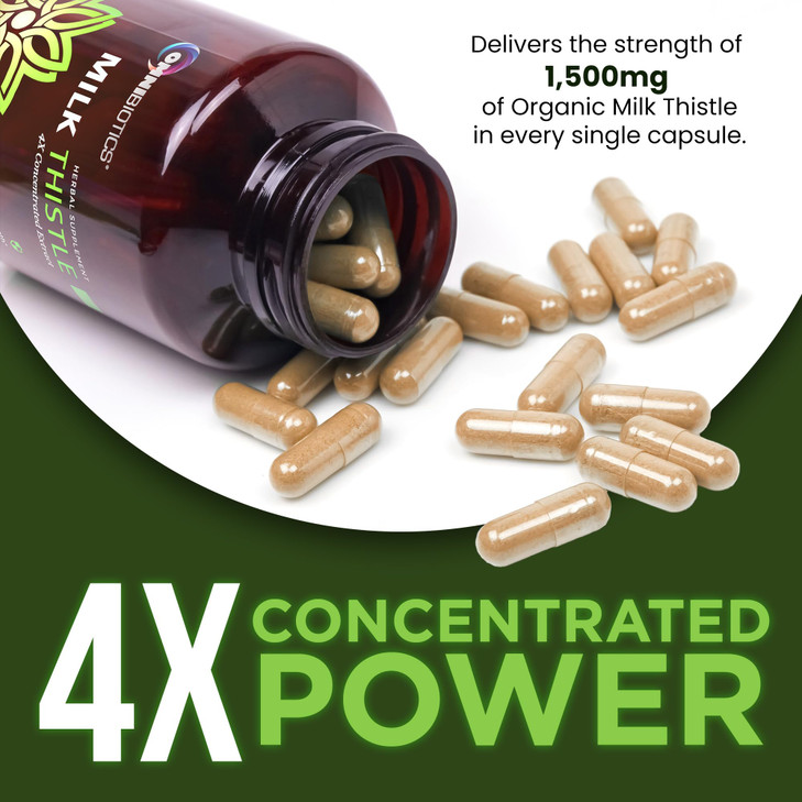 OmniBiotics Organic Milk Thistle Supplement 1500mg  4X Concentrated Extract with Silymarin  High Potency Liver Detox & Support  120 Vegan Capsules