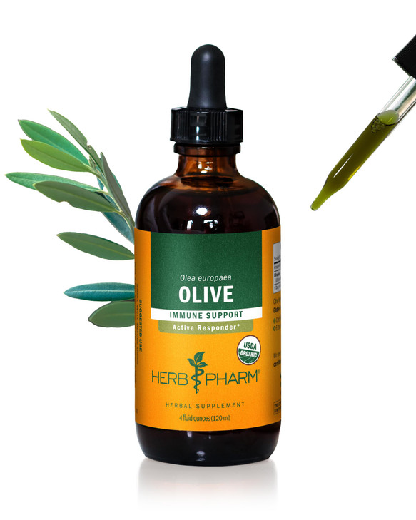 Herb Pharm Certified Organic Olive Leaf Liquid Extract for Immune System Support, 4 Fl Oz