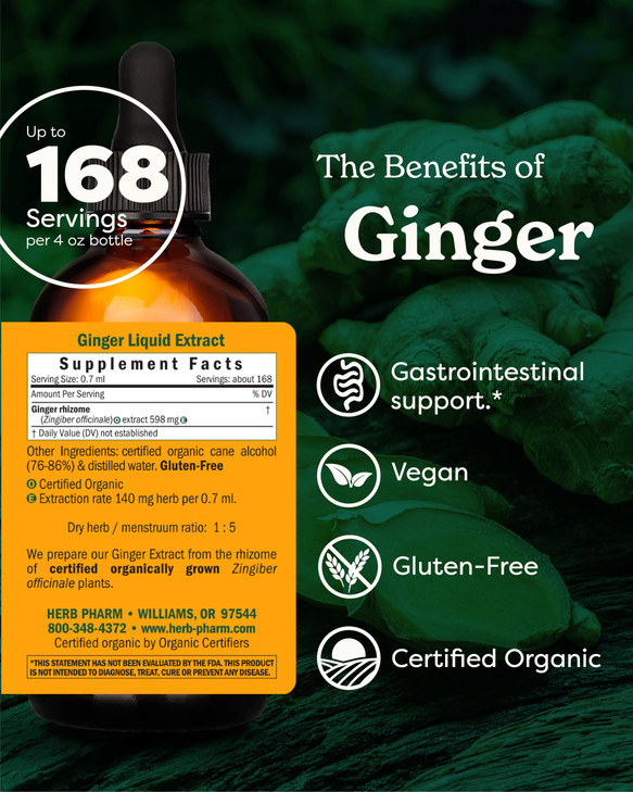 USDA Organic Ginger Root Extract*: Digestion & Circulatory Support | Ginger Tincture for Occasional Nausea | Non-Bitter Vegan Digestive Supplement |