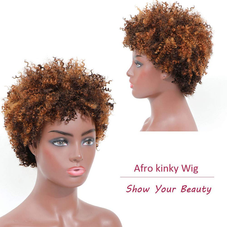 Ms Taj Short Afro Kinky Curly Human Hair Wigs for Black Women Brazilian Virgin Short Curly Afro Wigs None Lace 150% Density Unprocessed Afro Wig Huma