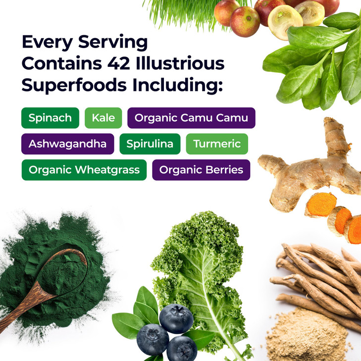 Paradise, ORAC Energy Greens Powder Extract, Super Antioxidants, Probiotics for Gut Health & Digestion, Vitamin C for Immunity, with Spirulina & Chlo