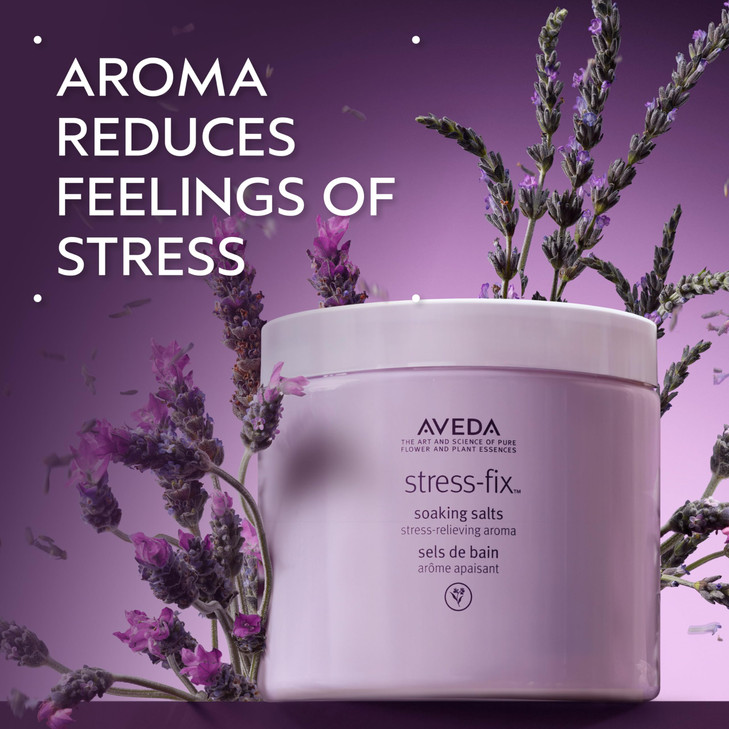 Aveda Stress-Fix Soaking Salts | Stress-Relieving Bath Salts | with Aroma of Lavender, Lavandin, Clary Sage, 16 Ounce