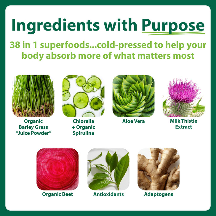 MacroLife Macro Greens Powder 38 Superfood Probiotics Antioxidants Digestive Enzymes & Adaptogen Supplement - Daily Super Green Juice & Smoothie Mix