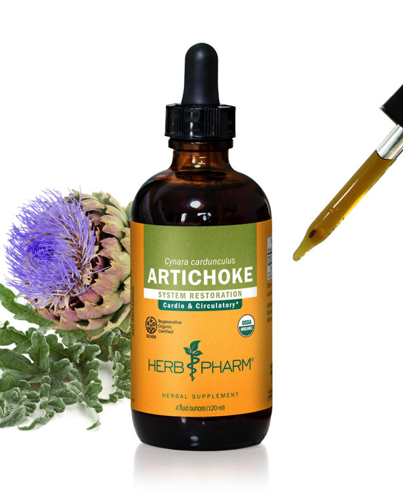Herb Pharm Certified Organic Artichoke Liquid Extract for Cardiovascular and Circulatory Support - 4 Ounce