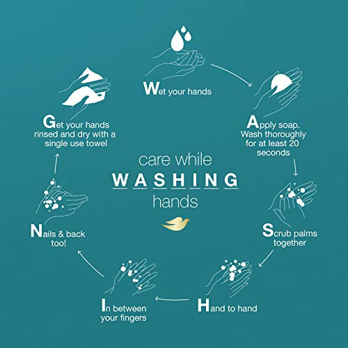 Dove Sulfate Free and Hypoallergenic, Sensitive Skin Body Wash, 22 Fl Oz (Pack of 4)