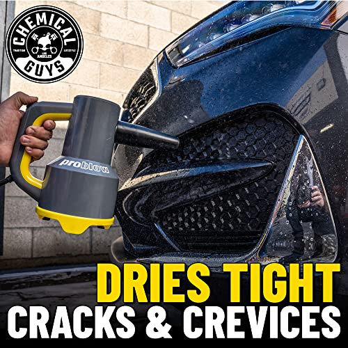 Chemical Guys EQP403 ProBlow High Flow Professional Hand Held Dryer & Blower (Car Wash Dryer) for Cars, Trucks, SUVs, RVs, Yard, Garage, Home, Work a