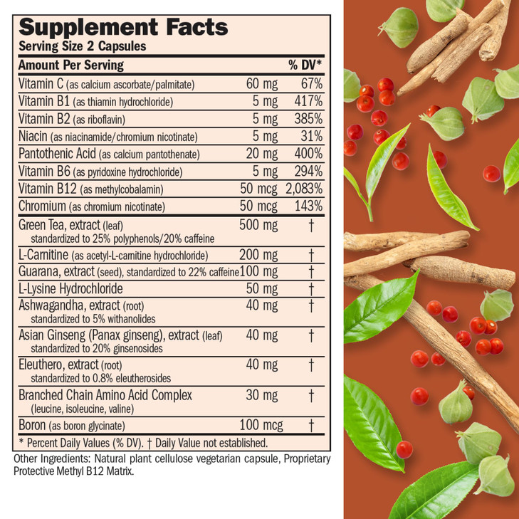 ANDREW LESSMAN Energy and Fat Metabolism Factors 180 Capsules - Promotes Optimum Fat Burning and Energy Metabolism, with Carnitine, Green Tea, Guaran
