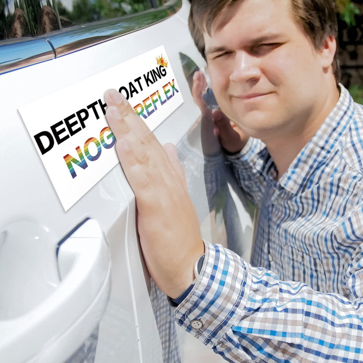 Frienda 10 Pcs Bumper Decals Funny LGBT Stickers Rainbow Bumper Prank Car Stickers Colorful Car Accessories for Truck Vehicle Luggage Window Refriger