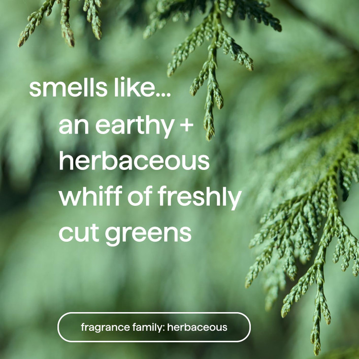 Method Men Body Wash, Juniper + Sage, Paraben and Phthalate Free, 18 FL Oz (Pack of 6)