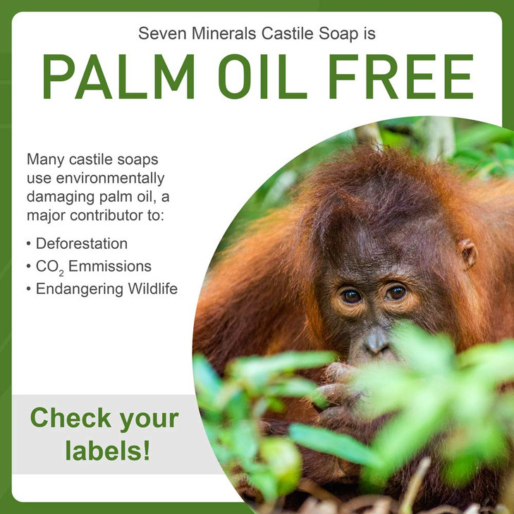 Seven Minerals EWG Verified Castile Soap - 1 Gallon, No Palm Oil, Unscented Mild & Gentle Skin Cleaning, For Sensitive Skin, Baby Wash, Soothing, Non