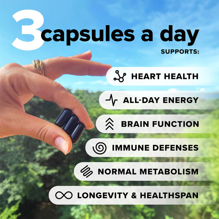 Complement Essential Vegan Multivitamin for Men & Women (60 Servings, 180 Capsules) with Omega-3 DHA & EPA, B12, Vitamin D3 & K2, Zinc, Selenium, Mag