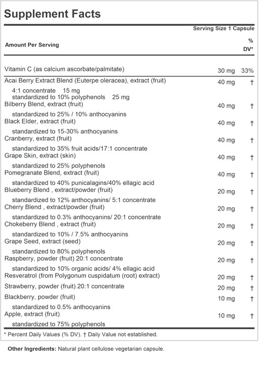 ANDREW LESSMAN Fruit Full Anti-Oxidant Extracts 360 Capsules - 14 Natural Fruit and Berry Extracts. Bilberry, Cranberry, Grape Seed, Pomegranate, Res