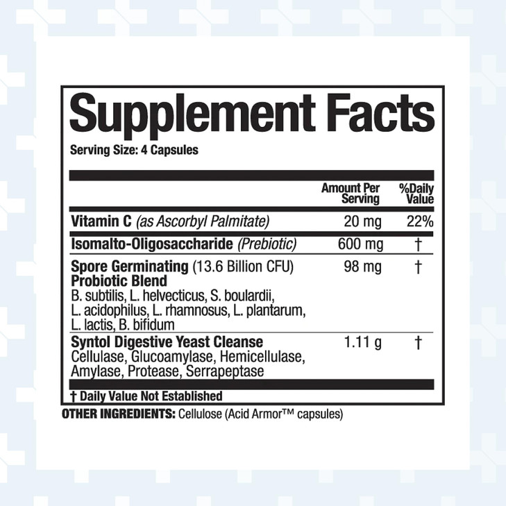 Arthur Andrew Medical, Syntol, 3-in-1 Formula with Probiotics, Prebiotic Fiber & Yeast Cleansing Multi-Enzymes, 360