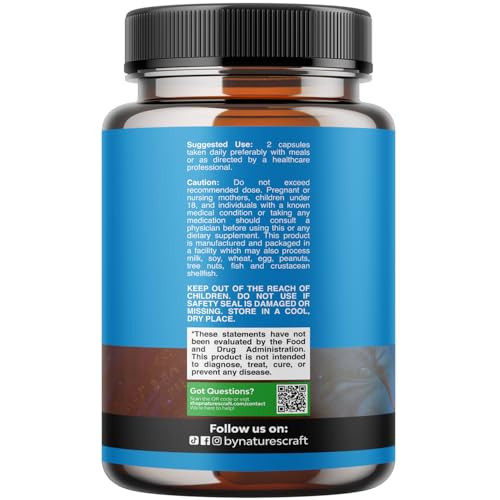 Pure Alpha Lipoic Acid Supplement with Acetyl L-Carnitine - Natural ALA ALC Amino Acids Boost Memory Support Mental Performance and Raise Energy Leve