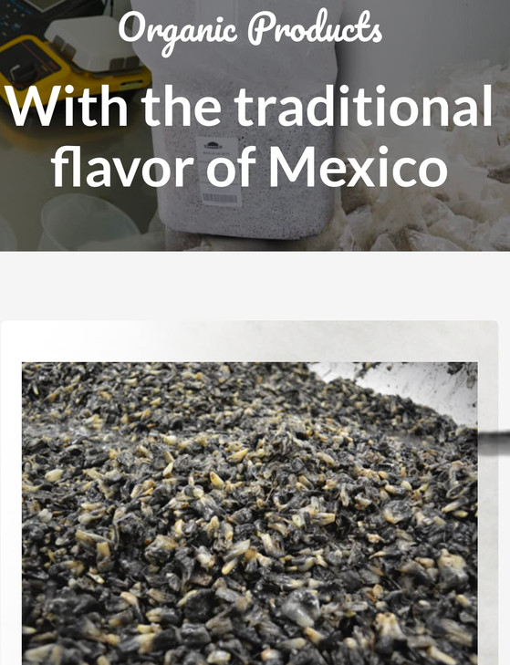 Endotzi | Huitlacoche - Corn Mushrooms Authentic Product of Mexico | 17oz