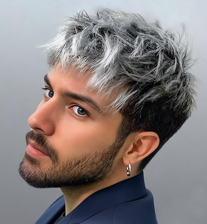 SEVENCOLORS Mens Wigs Short Grey Mixed Silver Wig Layered Natural Short Hair Wigs for Men Cosplay Halloween Party Synthetic Fashion Wig