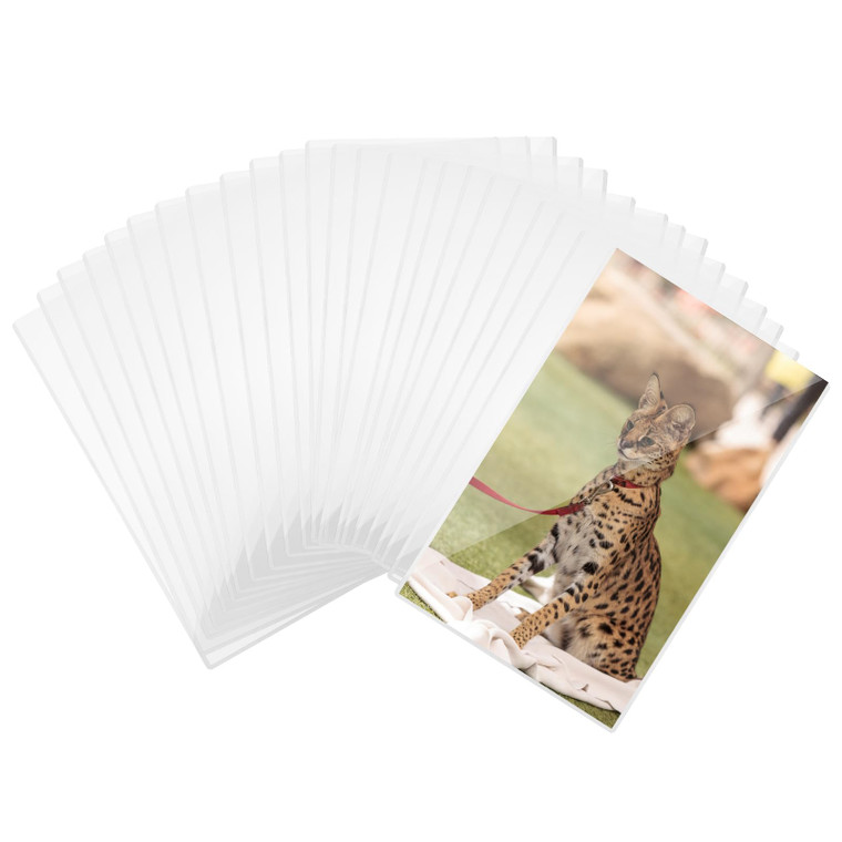 24 Pcs 9.7" x 14" Menu Cover, Rigid Print Protectors, Heavy Duty Clear Menu Holder, Poster Protector Sleeve, Hard Plastic Paper Sleeves for Page Shee