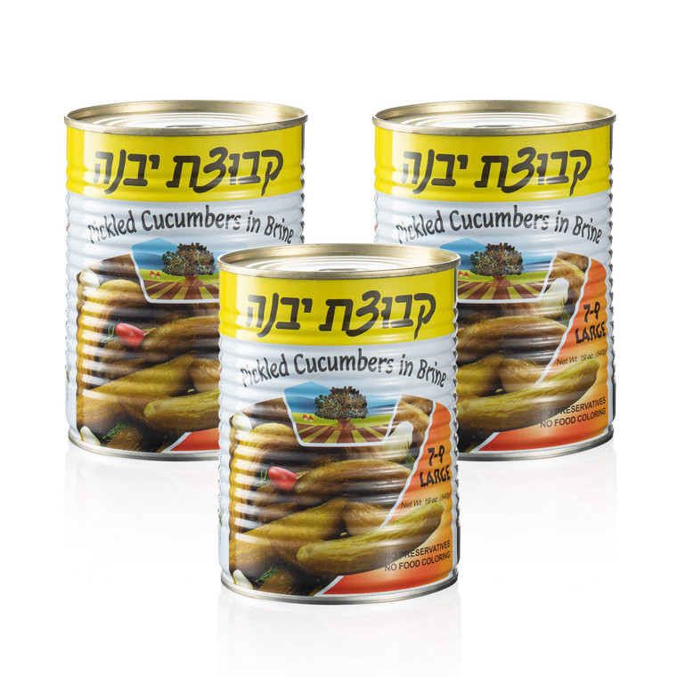 Pickled Cucumbers in Brine | Crispy Cucumber Pickles, All Natural, No Preservatives | Pack of 3, Total of 57 Oz (Large Pickles)
