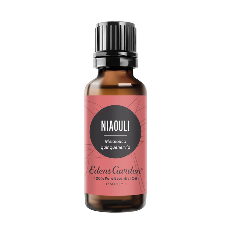 Edens Garden Niaouli Essential Oil- 100% Pure Premium Grade, Undiluted, Natural, Therapeutic, Aromatherapy, The Best for Diffuser, Skin, Candle, Humi