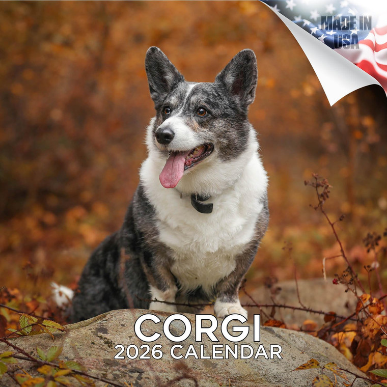 Corgi Calendar 2026 by MegaCalendars  Monthly Dog Breed Wall Calendar, Made in USA