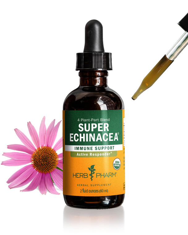 Herb Pharm Super Echinacea® Liquid Extract: USDA Organic Immune Support for Year-Round | Fast-Absorbing Echinacea Tincture, 4 Plant-Part Blend: Root,