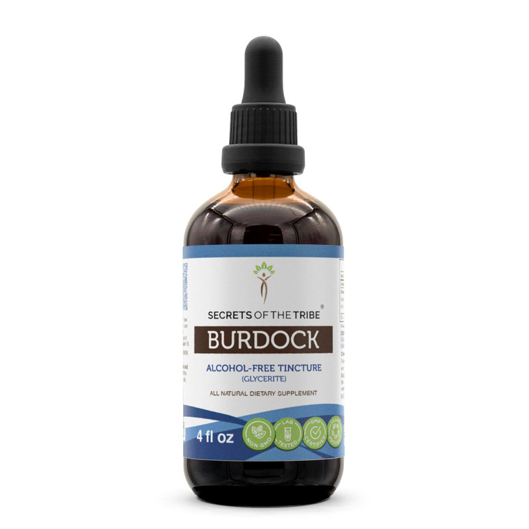 Secrets of the Tribe Burdock Tincture Alcohol-Free Liquid Extract, Burdock (Arctium Lappa) Dried Root 4 FL OZ