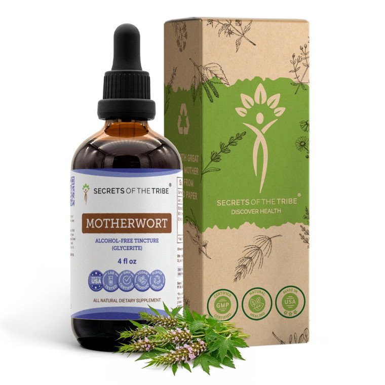 Secrets of the Tribe Motherwort Tincture Alcohol-Free Liquid Extract, Motherwort (Leonurus Cardiaca) Dried Herb (4 FL OZ)