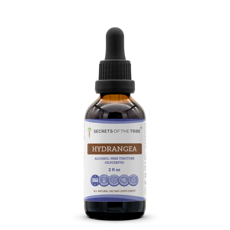 Secrets of the Tribe Hydrangea Tincture Alcohol-Free Liquid Extract, Hydrangea (Hydrangea arborescens) Dried Root (2 FL OZ)