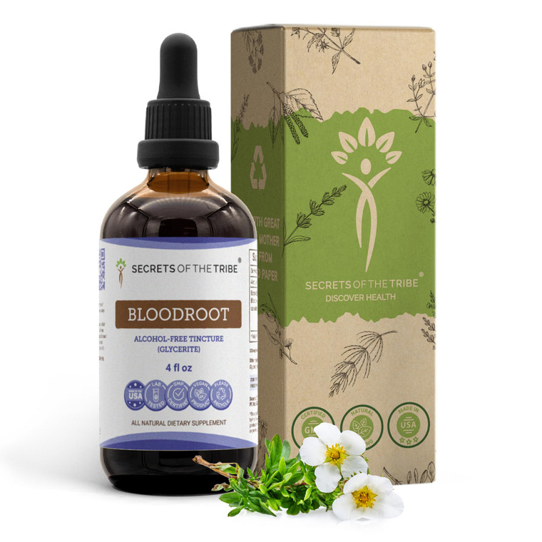 Secrets of the Tribe Bloodroot Alcohol-Free Tincture Extract, Responsibly farmed Bloodroot (Sanguinaria Canadensis) Dried Root (4 fl oz)