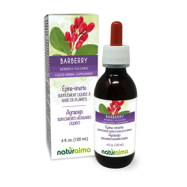 Naturalma Barberry (Berberis vulgaris) Root bark Alcohol-Free Tincture - 4 fl oz Liquid Extract in Drops - Herbal Supplement - Vegan