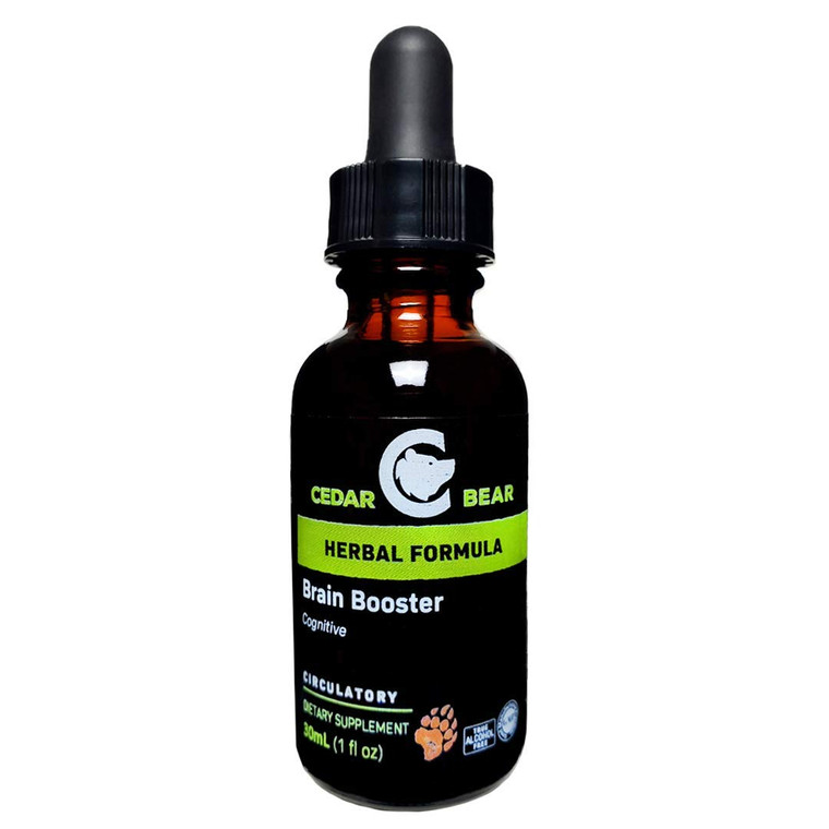 Cedar Bear Brain Booster a Liquid Herbal Supplement That is a General Memory and Vitality Support 1 Fl Oz
