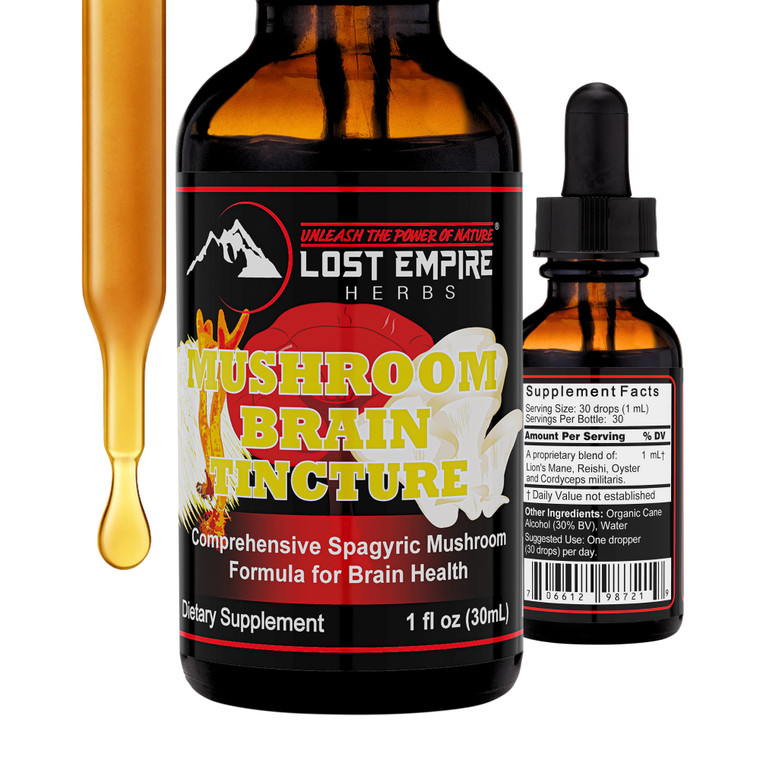 Lost Empire Herbs Mushroom Brain Spagyric Tincture | Dual Extract of Lion's Mane, Cordyceps, Reishi, Oyster Mushrooms for Cognition (1 fl oz)