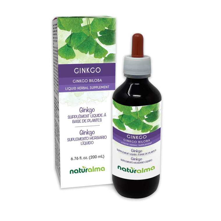 Naturalma Ginkgo (Ginkgo biloba) Leaf Alcohol-Free Tincture - 6.76 fl oz Liquid Extract in Drops - Herbal Supplement - Vegan