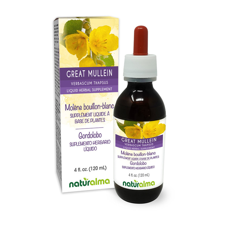Naturalma Great Mullein or Common Mullein (Verbascum thapsus) Flower and Leaf Alcohol-Free Tincture - 4 fl oz Liquid Extract in Drops - Herbal Supple