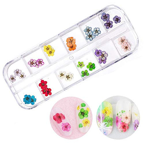 12 Colors Real Dried Flowers Nail Art Accessories,Five-Petals Flower 3D Nail Stickers for Nail Art DIY Decoration