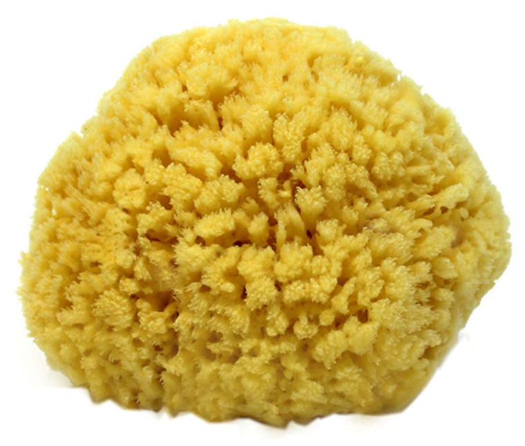 Natural Sea Sponge Small 4-5" by Spa Destinations®Creating The Perfect Bath and Shower Experience Amazing Natural Renewable Resource!