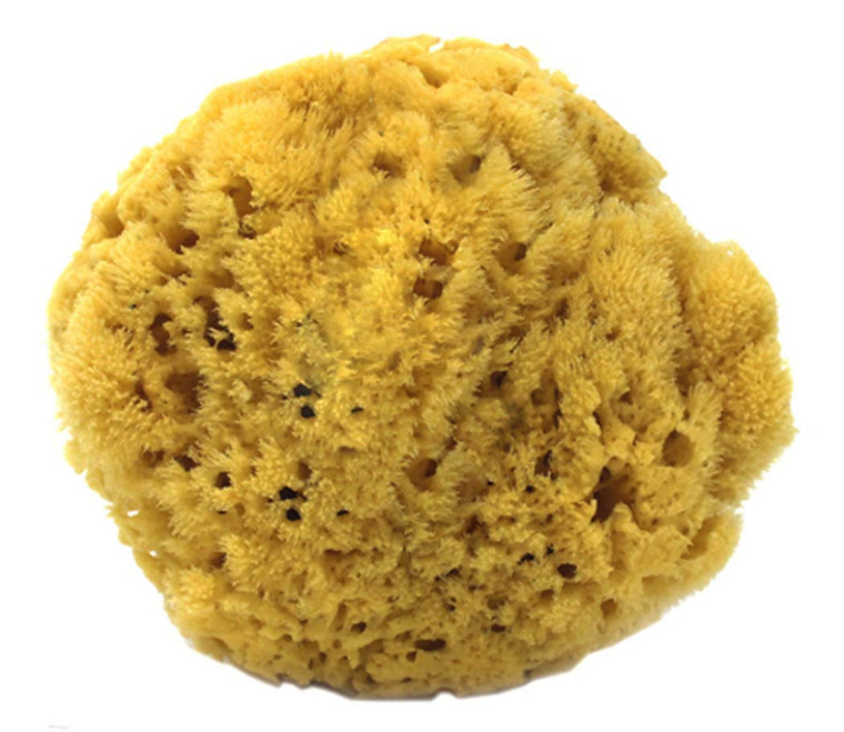 100% Natural Sea Sponge 5-6" by Spa Destinations"Creating The In Home Spa Experience" For the Perfect Bath or Shower Experience. 