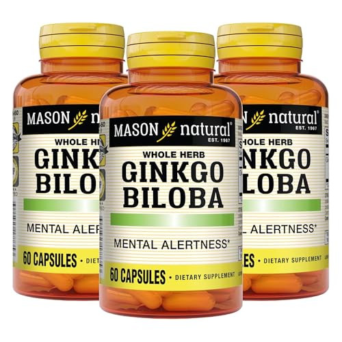 MASON NATURAL Ginkgo Biloba, 3 Month Supply, Helps to Improve Mental Alertness & Support Optimal Brain Function, 60 Capsules (3 Pack)
