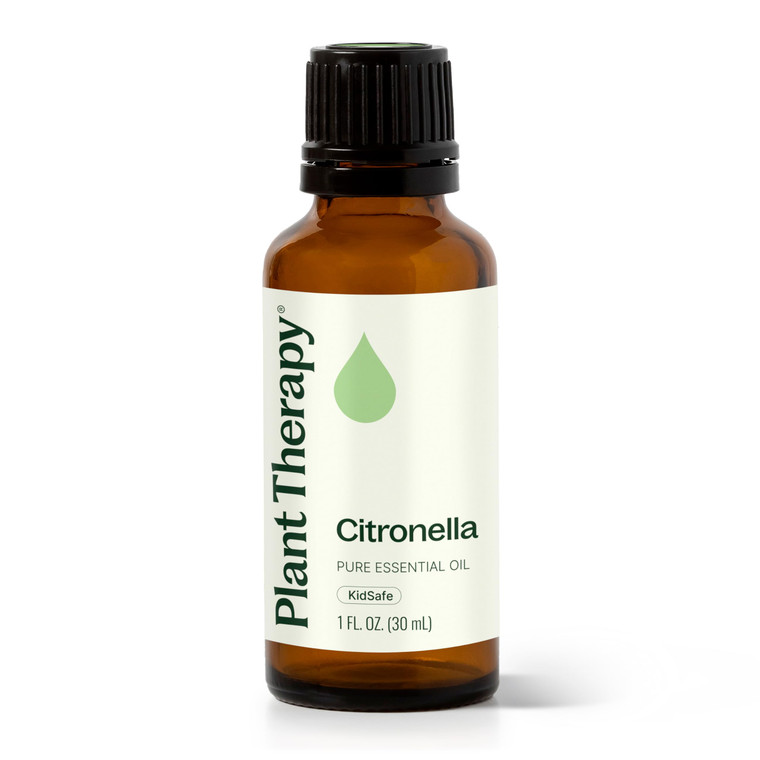 Plant Therapy Citronella Essential Oil 30 mL (1 oz) 100% Pure, Undiluted, Citronella Oil for Aromatherapy, Diffuser, Candle Making, Skin Care, Outdoo