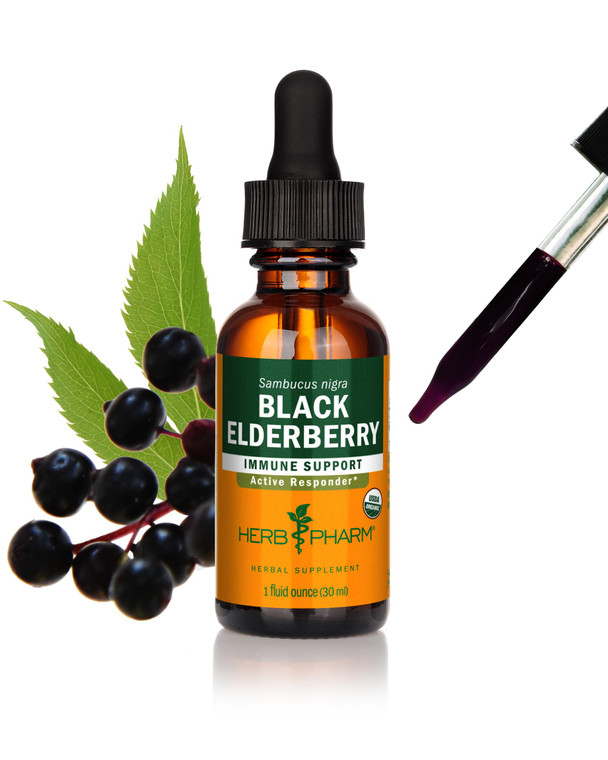 Herb Pharm Certified Organic Black Elderberry Liquid Extract for Immune System Support, Organic Cane Alcohol, 1 Oz